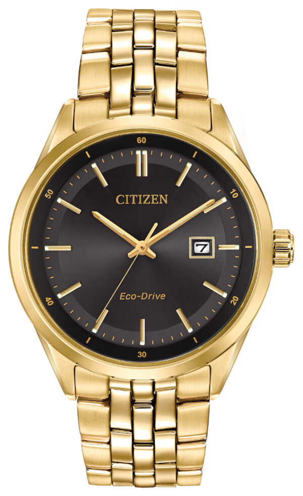 Citizen eco drive goldstone date watch