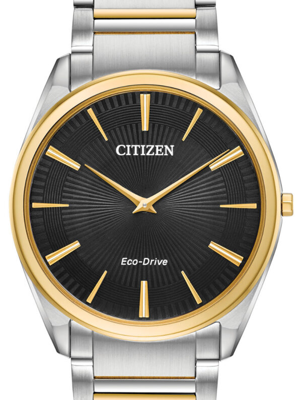 citizen eco drive two tone stainless