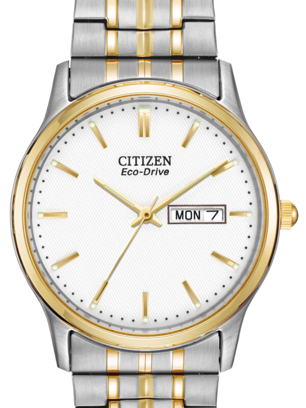 citizen eco drive two tone stainless day/date