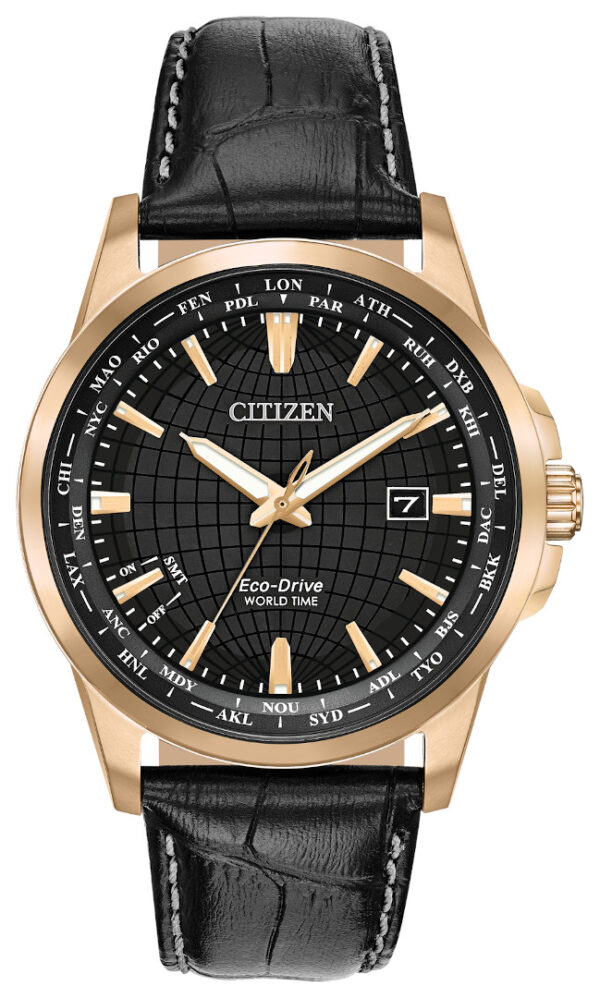 citizen eco drive world time goldtone watch