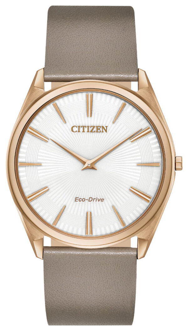 citizen eco drive ladies goldtone watch