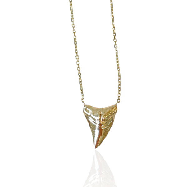14kt small shark tooth necklace