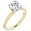 123213 - 14kt two tone solitaire ring